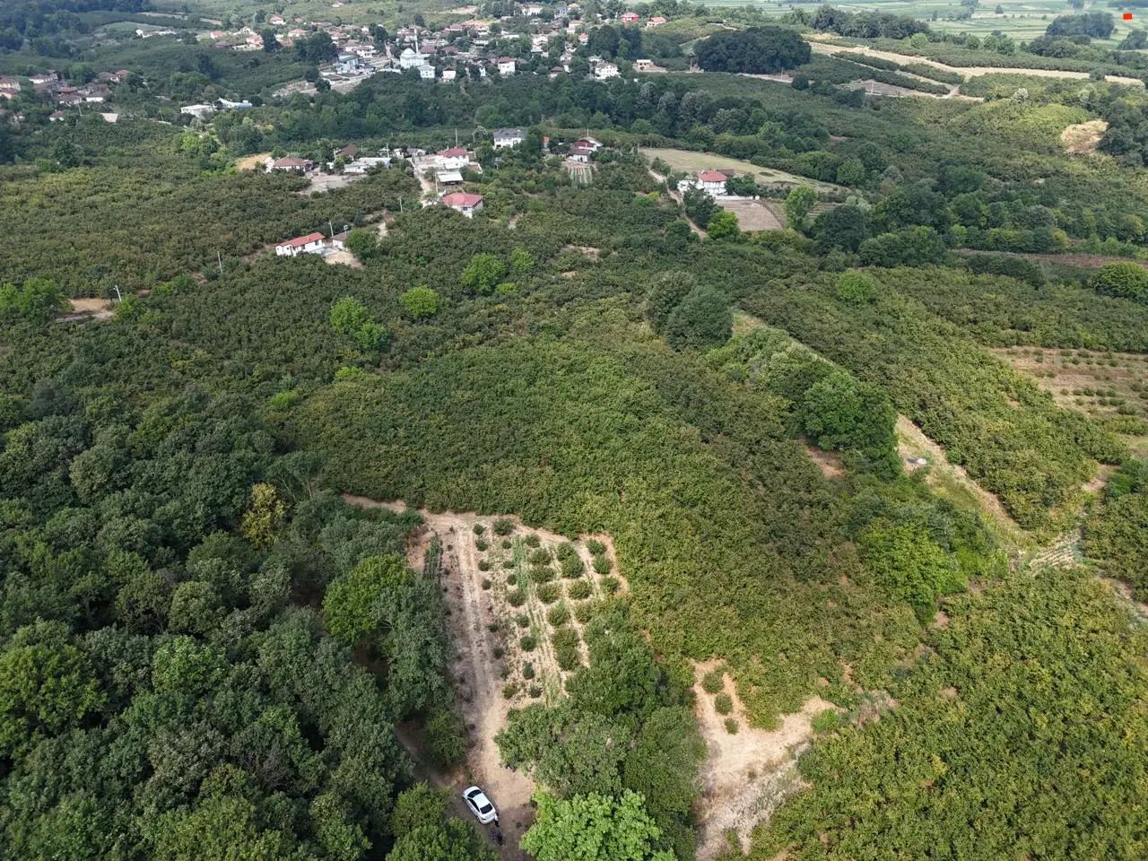 Sakarya farm